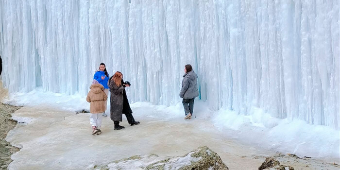 Зимний Тамшалы Мангистау